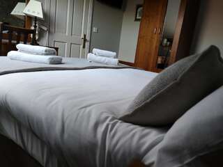 Отели типа «постель и завтрак» Glen Gat House Дандолк Стандартный двухместный номер с 1 кроватью-1