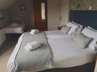Отели типа «постель и завтрак» Glen Gat House Дандолк Стандартный трехместный номер-3